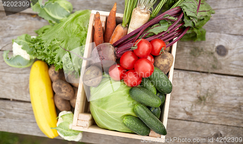 Image of close up of vegetables on farm