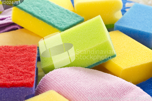 Image of Colorful sponges