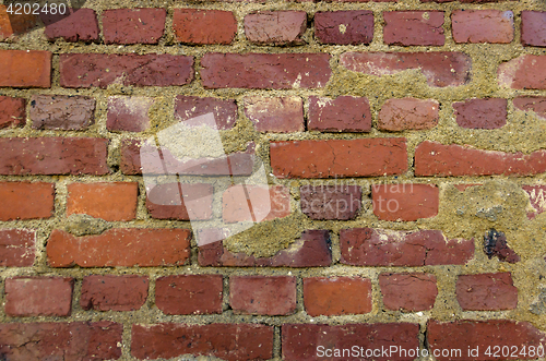 Image of Old Brick wall 