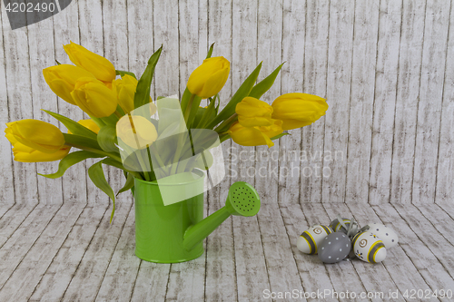 Image of Yellow tulips in green watering can