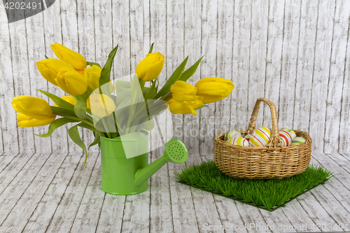 Image of Yellow tulips in green watering can