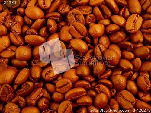 Image of coffee grains