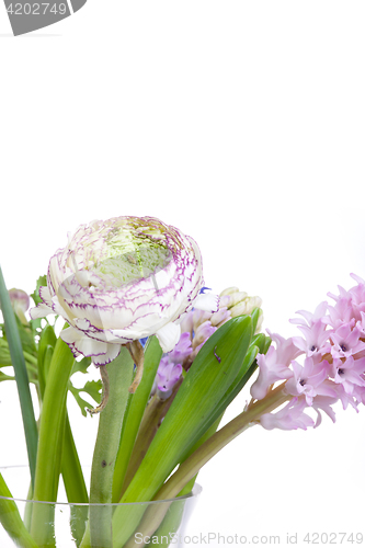 Image of Ranunkulyus bouquet of red flowers on a white background