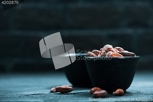 Image of cocoa beans