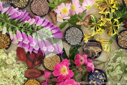 Image of Medicinal Flower and Herb Selection