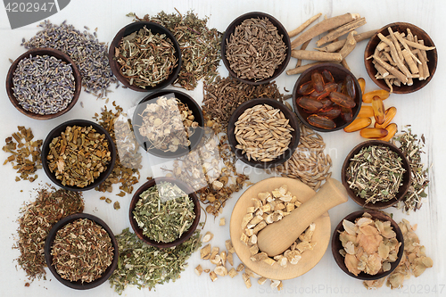 Image of Calming and Sleeping Herb Selection