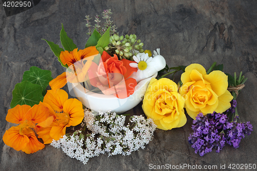 Image of Natural Flowers used in Alternative  Herbal Medicine