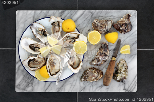 Image of Aphrodisiac Food with Oysters  