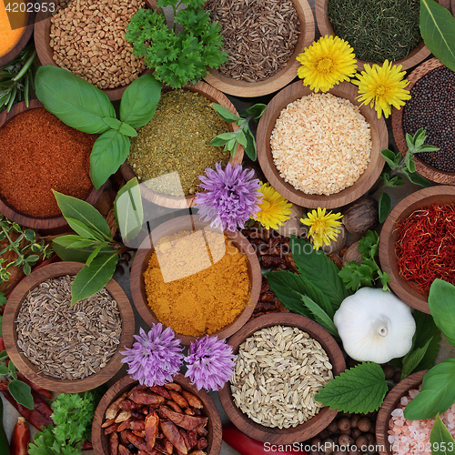 Image of Herb and Spice Seasoning