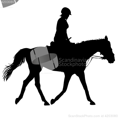 Image of silhouette of horse and jockey