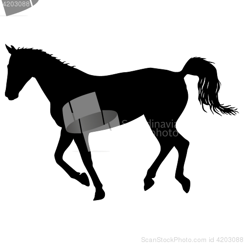 Image of silhouette of black mustang horse illustration