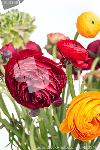 Image of Ranunkulyus bouquet of red flowers on a white background