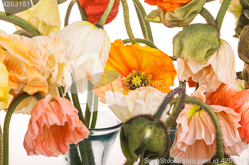Image of Daisy and poppy flowers bouquet