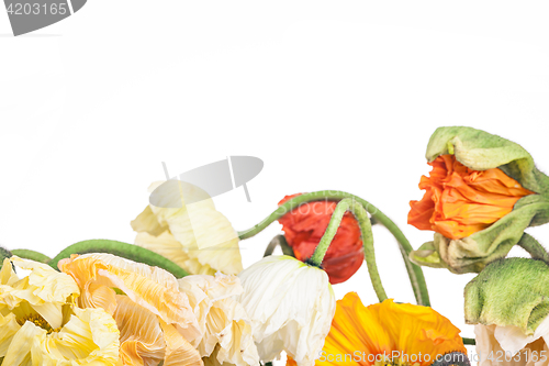 Image of Daisy and poppy flowers bouquet