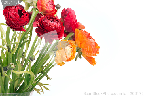 Image of Ranunkulyus bouquet of red flowers on a white background