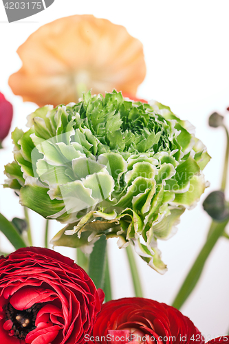 Image of Ranunkulyus bouquet of red flowers on a white background