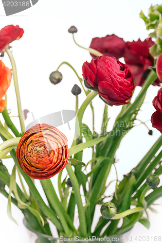 Image of Ranunkulyus bouquet of red flowers on a white background