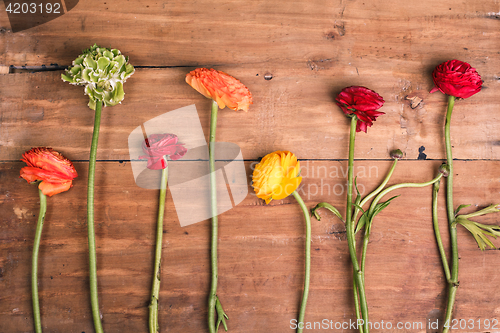 Image of Ranunkulyus bouquet of red flowers on a wooden background