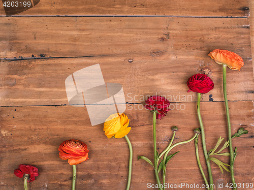 Image of Ranunkulyus bouquet of red flowers on a wooden background