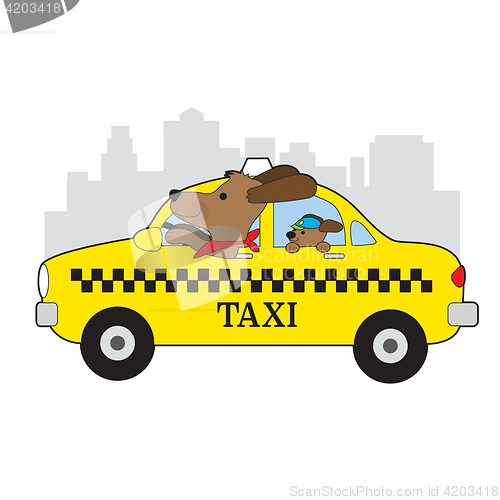 Image of New York Taxi Dog