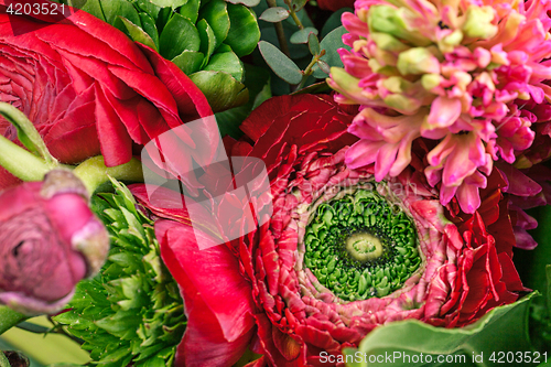 Image of Ranunkulyus bouquet of red flowers on a white background