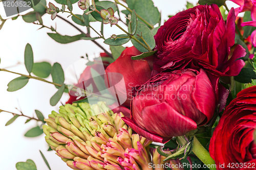 Image of Ranunkulyus bouquet of red flowers on a white background