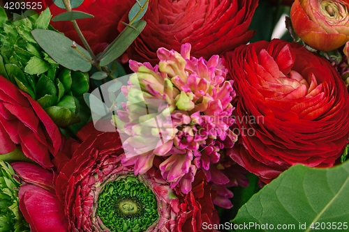 Image of Ranunkulyus bouquet of red flowers on a white background
