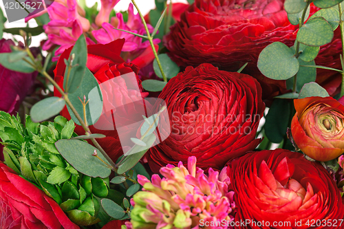 Image of Ranunkulyus bouquet of red flowers on a white background