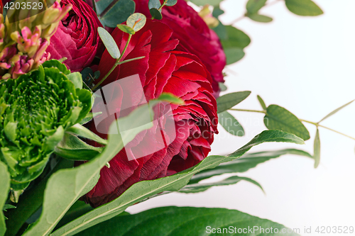 Image of Ranunkulyus bouquet of red flowers on a white background