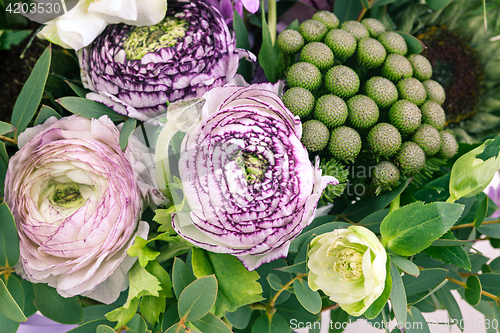 Image of Ranunkulyus bouquet of red flowers on a white background