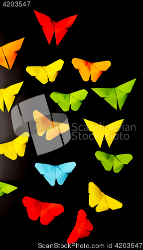 Image of butterflies on black