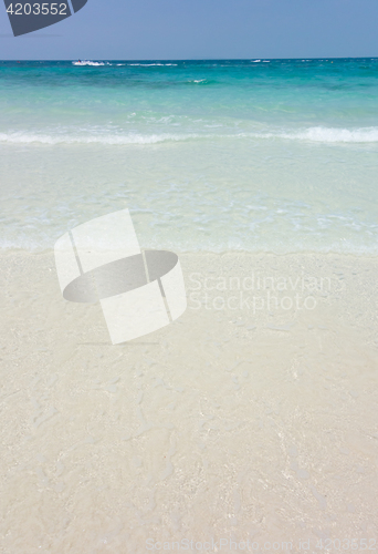 Image of tropical beach