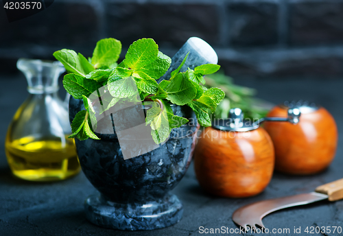 Image of Mint