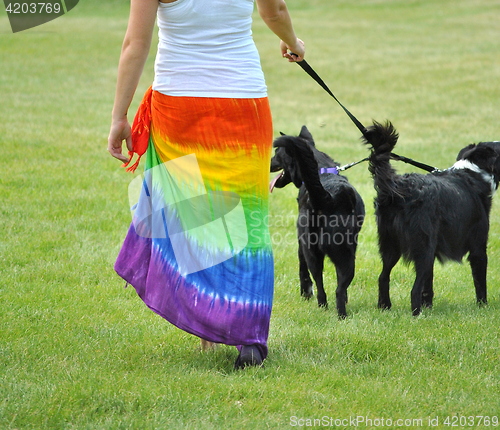 Image of Gay/lesbian day.