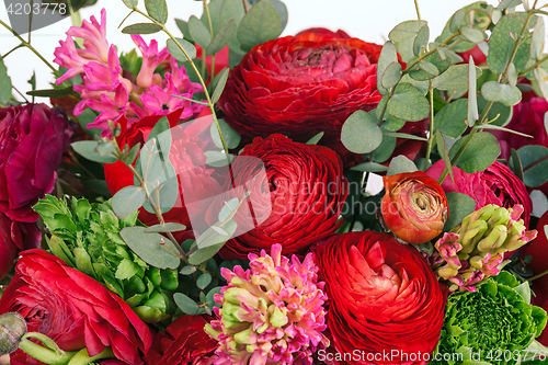 Image of Ranunkulyus bouquet of red flowers on a white background