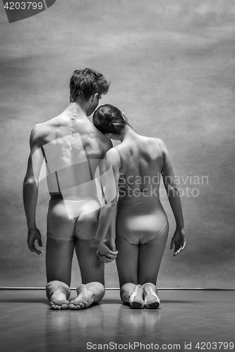 Image of Couple of ballet dancers posing over gray background