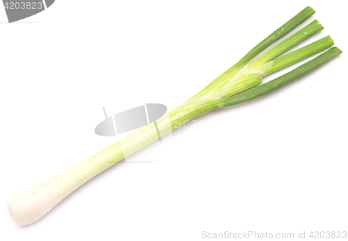 Image of green onion