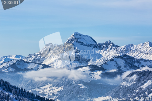 Image of Winter Landscape