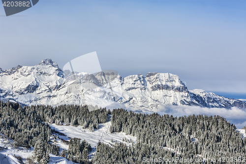 Image of Winter Landscape