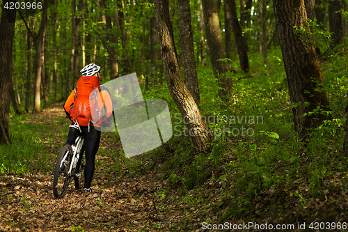 Image of healthy lifestyle and fitness concept with mount bike man outdoor