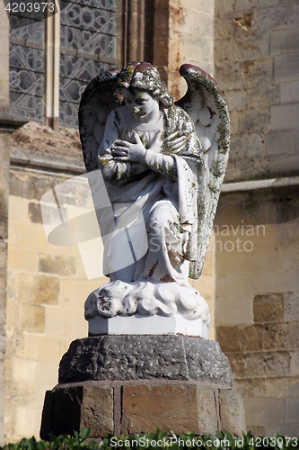 Image of Angel