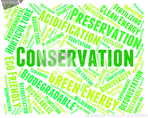 Image of Conservation Word Indicates Earth Friendly And Conserving