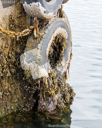 Image of Recycled old tyre used as bumper