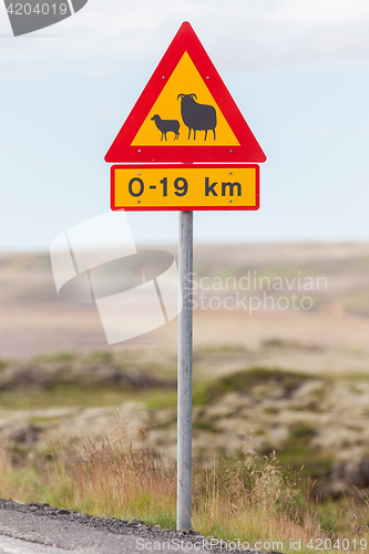 Image of Real Sheep Crossing traffic sign