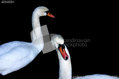 Image of no caption