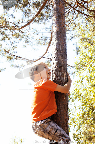 Image of little cute real boy climbing on tree hight, outdoor lifestyle c