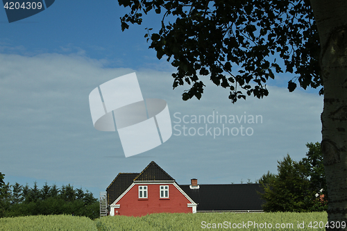 Image of Red house in Danish landscapes in the summer