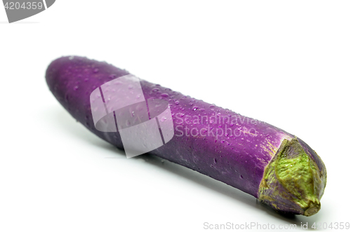 Image of Purple eggplant with water drop