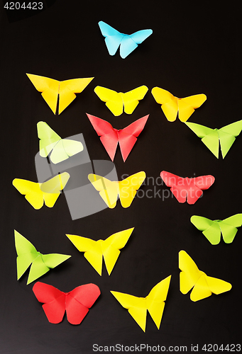 Image of origami butterflies