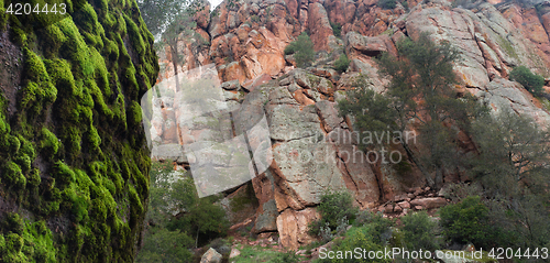 Image of Winter Time Pinnacles National Park Forest Trail California USA